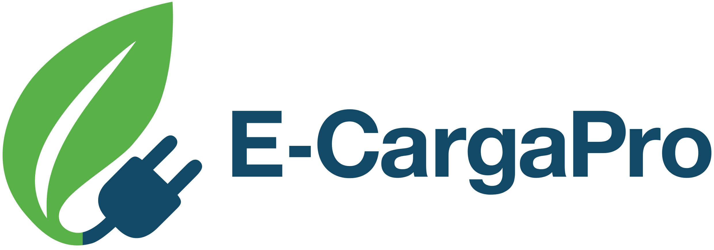 Logo E-CargaPro